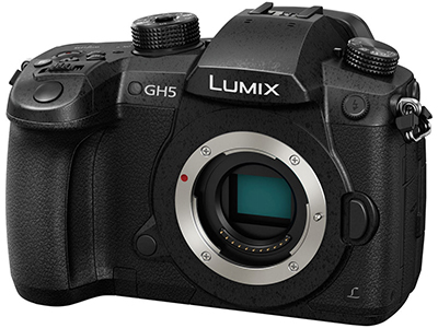 Panasonic Lumix DC-GH5 (Body Only) - Lemac